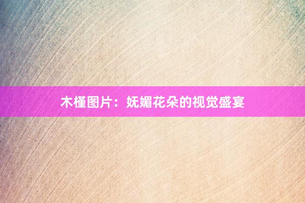 木槿图片：妩媚花朵的视觉盛宴
