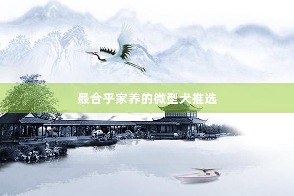 最合乎家养的微型犬推选
