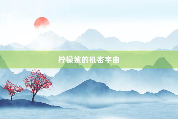 柠檬鲨的机密宇宙