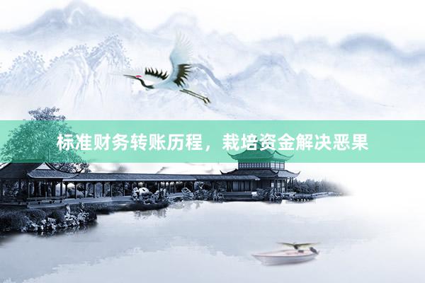 标准财务转账历程，栽培资金解决恶果