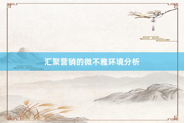 汇聚营销的微不雅环境分析